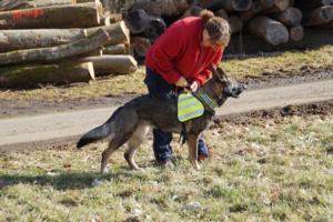 17.02.2019 Training Nanzenbach